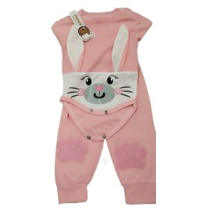 سه تیکه خرگوش NN